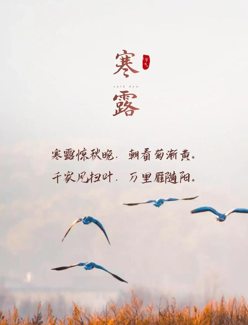 寒露时节注意护好这四处