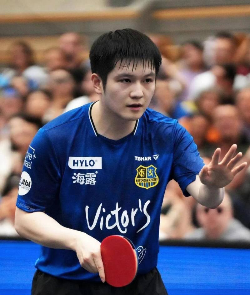 杜塞尔多夫总经理盛赞樊振东为超级巨星