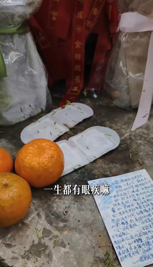 苏轼墓前摆满眼药水蒸汽眼罩