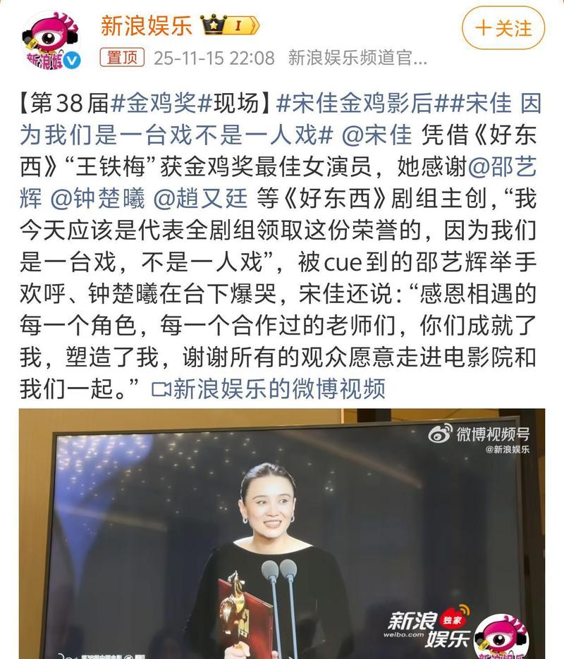 宋佳凭同一角色横扫三大奖引争议