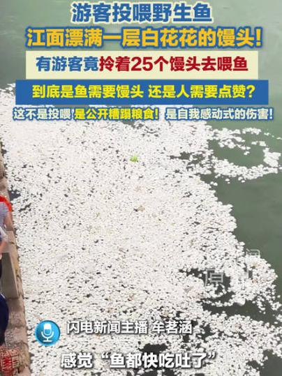 江面漂馒头引关注 观鱼不喂鱼成倡议