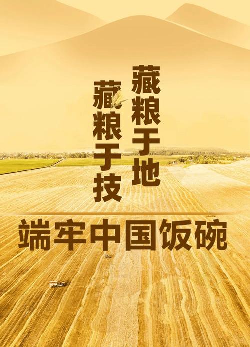 端牢中国饭碗 底气从何而来