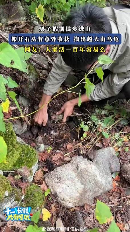 男子假期徒步进山 意外收获超大山乌龟