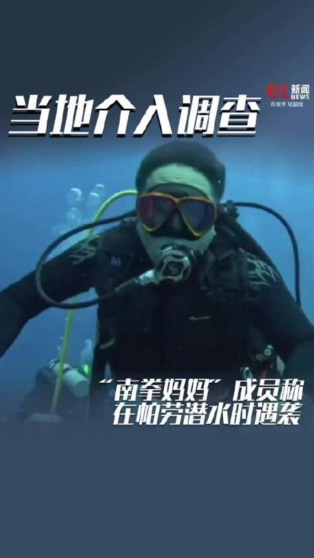 南拳妈妈成员帕劳潜水遇袭 官方暂停涉事人员工作