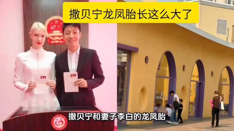 撒贝宁龙凤胎近照曝光,网友感慨长这么大了