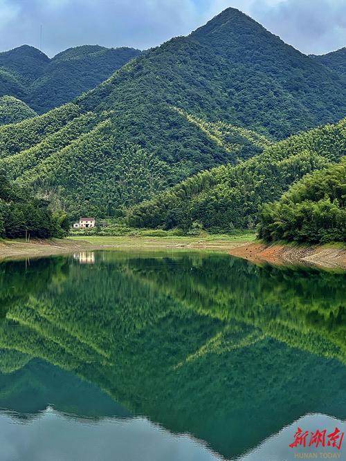 热搜词条“青山”走红:一段文字引发的生活共鸣