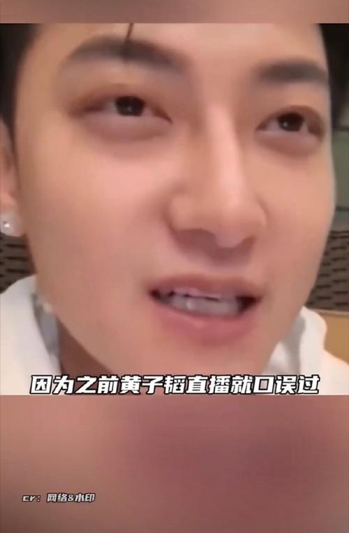黄子韬综艺旧片段被翻出,曾暗示已有孩子
