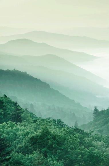 热搜词条“青山”走红:一首短诗引发的共鸣