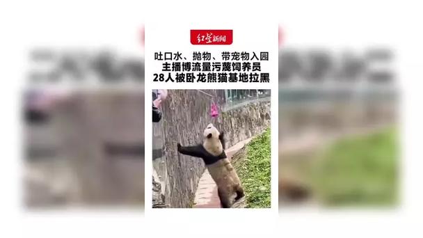 28人因不文明行为被卧龙熊猫基地拉黑