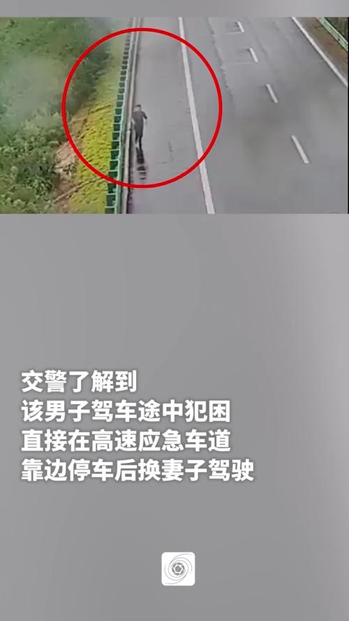 女子误将丈夫落在高速上引热议