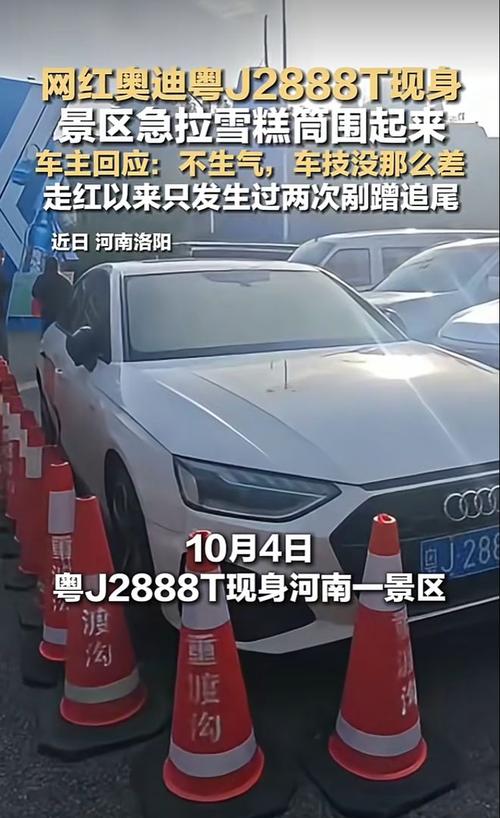 网红车景区被雪糕筒围住引关注