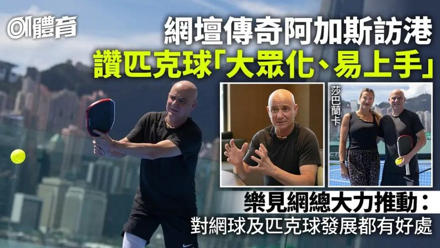 匹克球真比乒羽网低一头吗