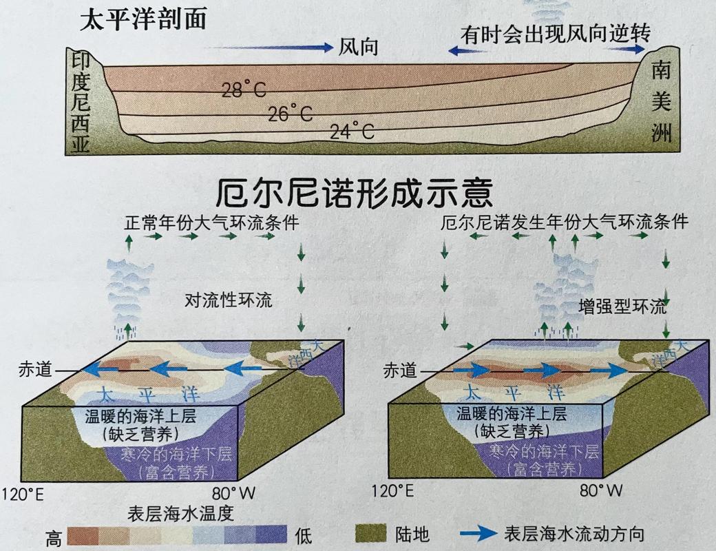 超强厄尔尼诺形成,今冬明春天气有何变化
