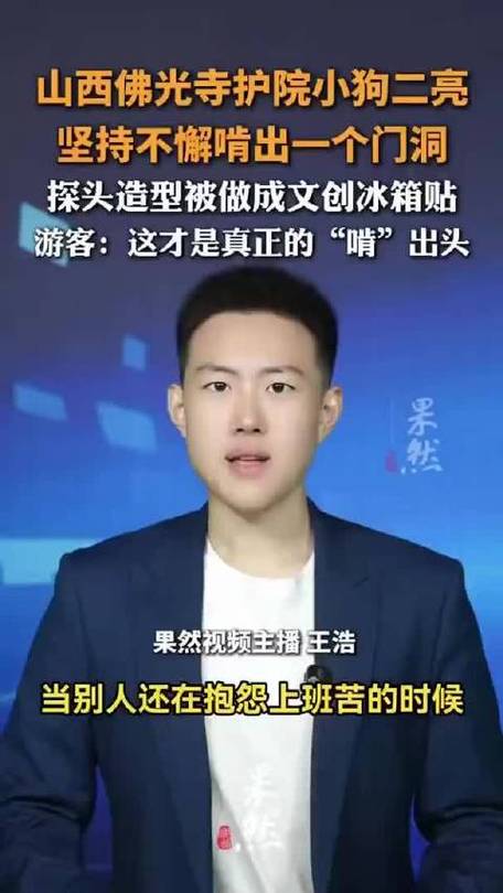 佛光寺小狗刨洞走红 文创冰箱贴受关注