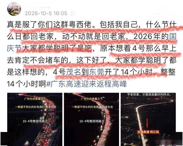 最后一批返程车主都是大聪明