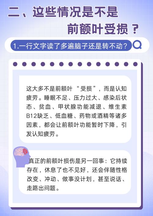 请尊重一下你的前额叶:大脑指挥中心需要保养