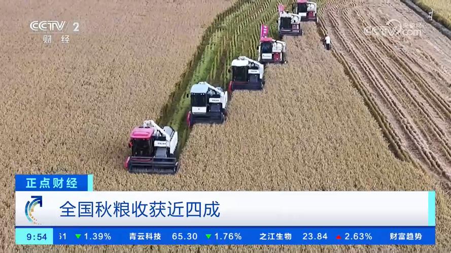 全国秋粮收获进入高峰期 进度过六成