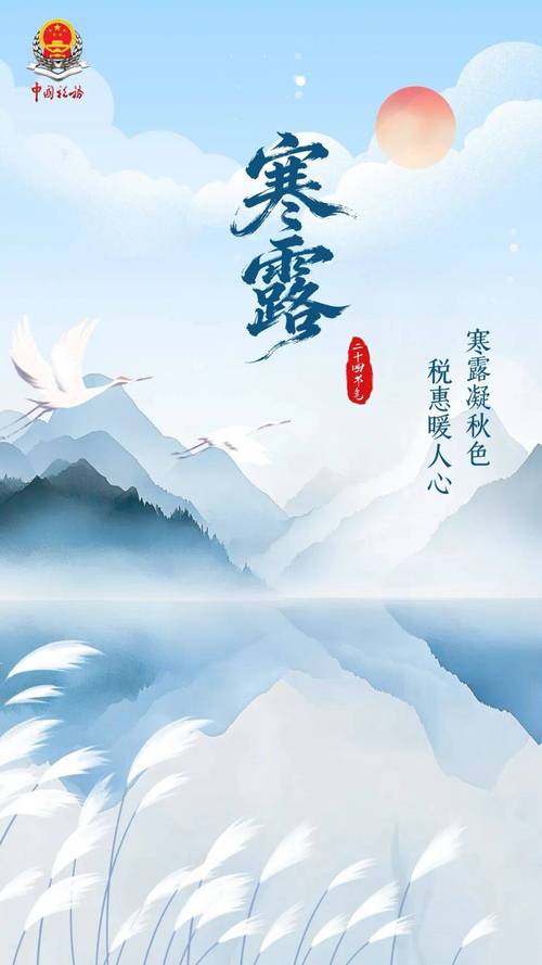 今日寒露:大雁南飞秋菊绽放